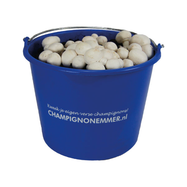 champignonemmer